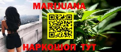 индика Пугачёв